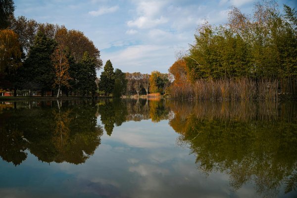 Comment les seniors peuvent-ils utiliser les techniques de respiration yogique pour améliorer leur santé pulmonaire?